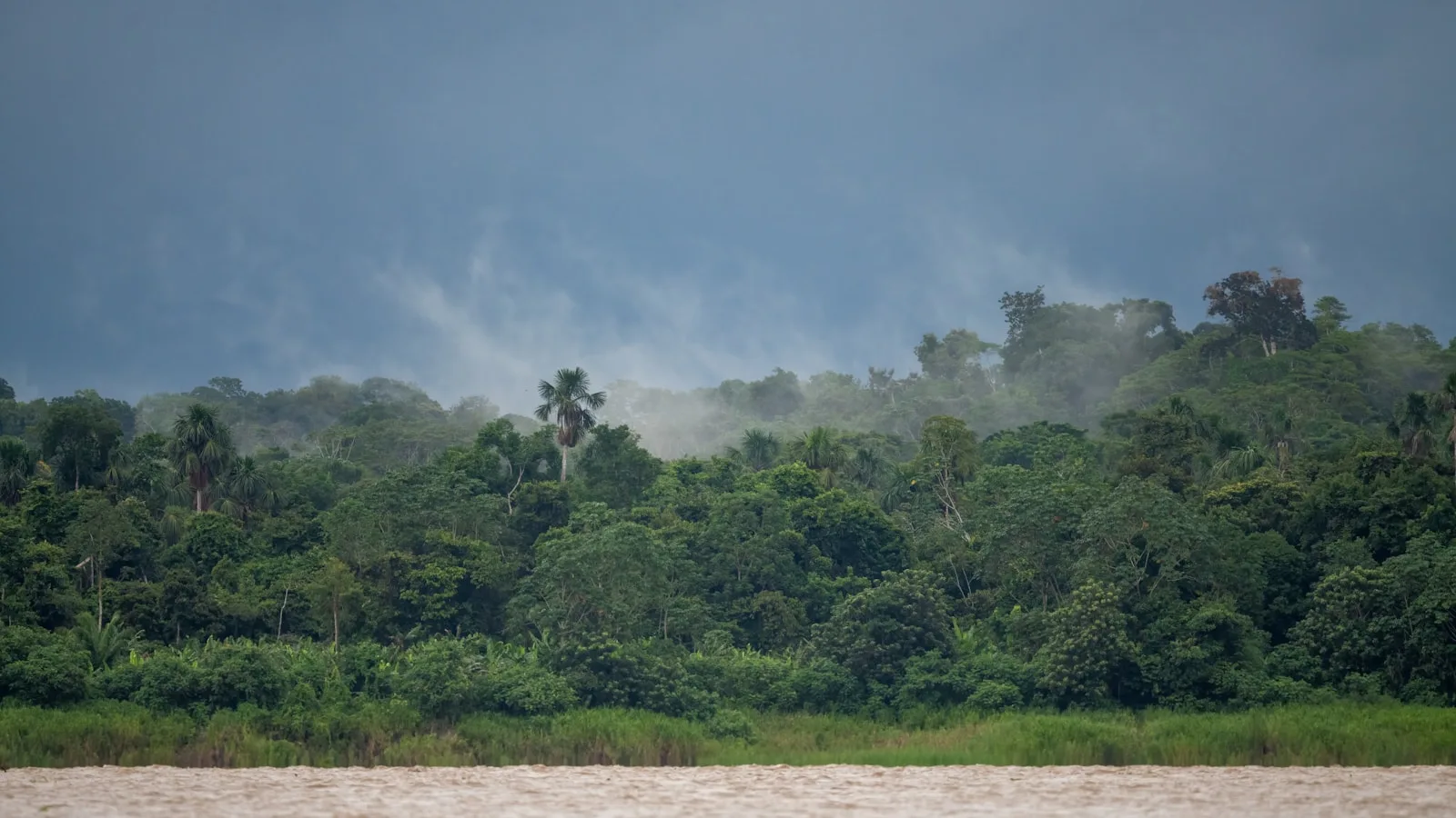 Comment se protéger efficacement des moustiques en Amazonie