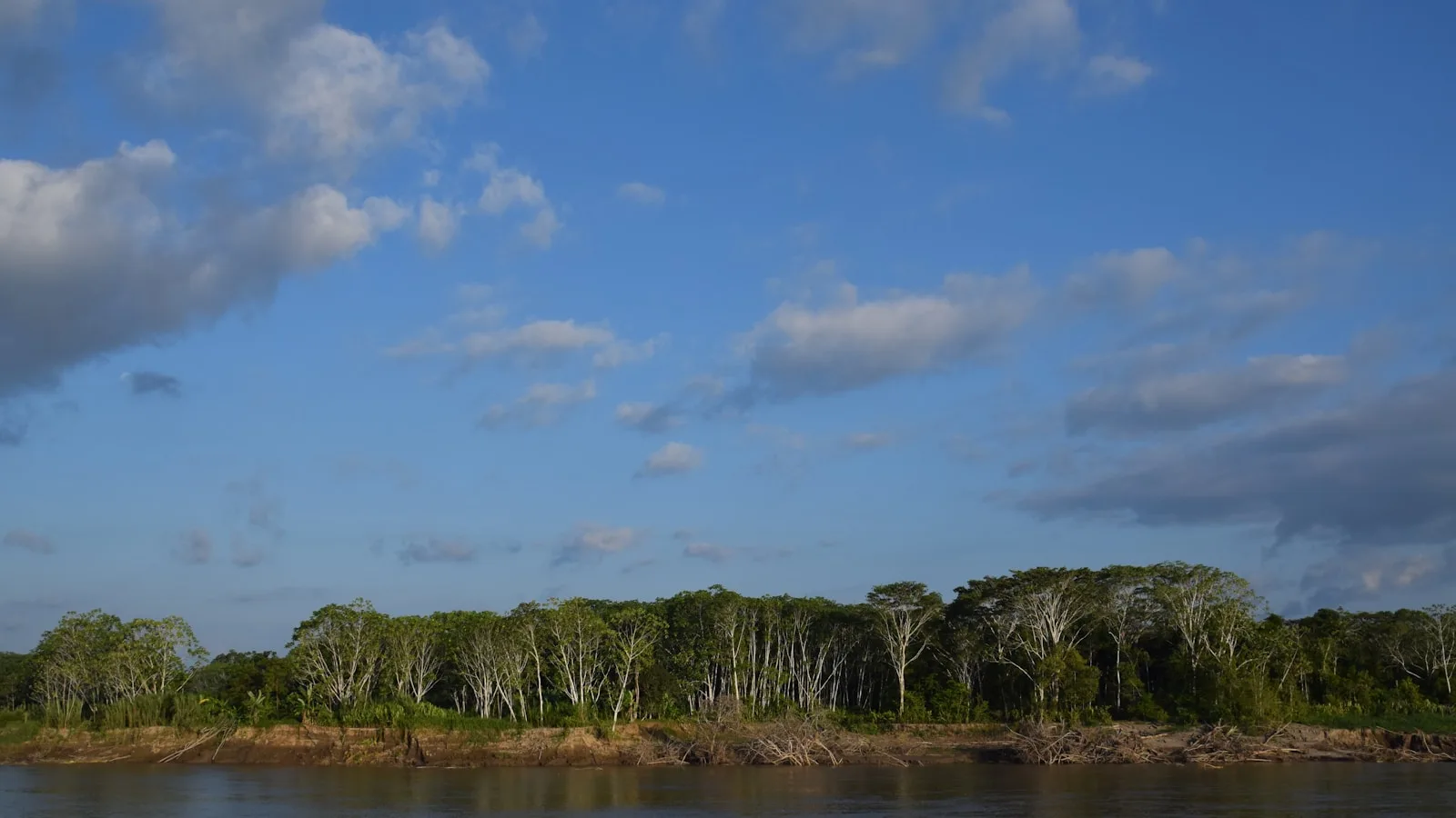 Cas particulier : l'Amazonie et les zones rurales