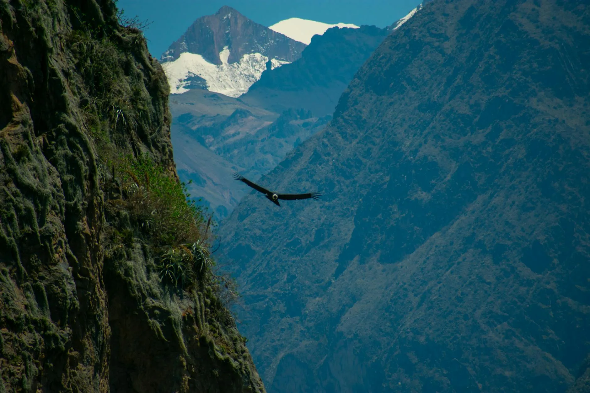 Canyon del Colca depuis Arequipa